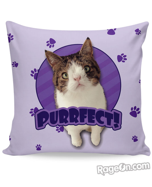 PURRfect Purple Couch Pillow